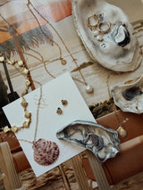Pink Calico Seashell Necklace