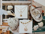 Sullivan Shell Necklace
