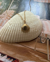 Sullivan Shell Necklace
