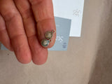 Olivia Necklace H / BLOOPER