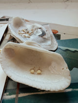 Shell Stud Earrings