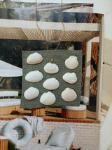 White Seashell Necklace