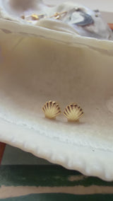 Shell Stud Earrings