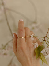 Noah Gold Band Ring